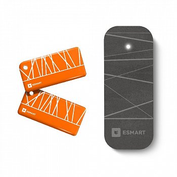 Фотография Считыватель ESMART® Reader SL3 серии STONE / цвет 226