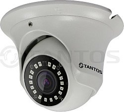 Фотография IP камера TSi-Ee25FPN