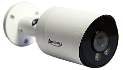 Фотография IP-203 FPM (2.8) 2D WL