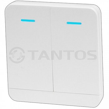 Фотография Tantos Передатчик TSt-100HK
