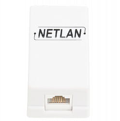 Розетка информационная настенная NETLAN EC-UWO-1-UD2-WT-10