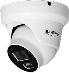 Камера IP-502 FPM (2.8) 2V