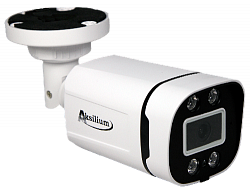 Камера IP-203 FPM (3.6) 1H